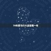 78年属马行大运是哪一年，属马1978年43走大运？