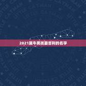 2021属牛男孩最吉利的名字，2021年属牛的男孩叫什么名字