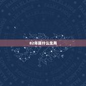 82年属什么生肖，82年属狗女在2022 年的运程