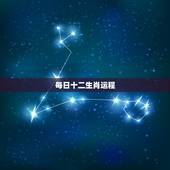 每日十二生肖运程，十二生肖今日运势财运