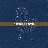 1963属相是什么生肖，63年属什么生肖
