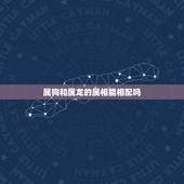 属狗和属龙的属相能相配吗，属狗的和属龙的在一起会相配吗？