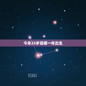 今年25岁是哪一年出生，2022 年虚岁26岁属啥的
