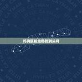 鸡狗属相结婚能到头吗，鸡狗婚配能行么