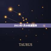 2022年1月水瓶座运势，水瓶座一月份的运势怎么样？