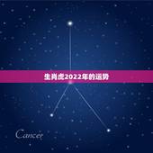生肖虎2022年的运势，1986生肖虎2022 年运势大全
