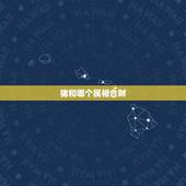 猪和哪个属相合财，狗和蛇属相合不合财