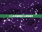 十二生肖属猪配什么属相最好，属猪的和什么属相最配？