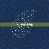 2022年抖音网名，2021年最新抖音昵称