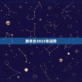 数羊女2022年运势，生肖属羊的几月好
