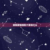 猪猴属相相配六害指什么，猪猴为什么相害严重吗