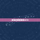 属兔的婚配属相2019，属兔的几月出生最好，属兔的今年多大，属兔和什么