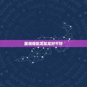 属相婚配龙配龙好不好，属相婚配：男属龙和女属龙相配吗