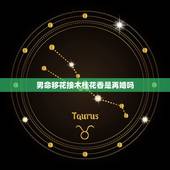 男命移花接木桂花香是再婚吗，移花接木桂花香是什么意思
