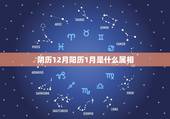 阴历12月阳历1月是什么属相，生日农历是腊月（12月），国历是1月份，