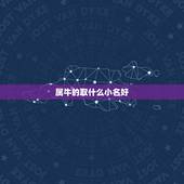 属牛的取什么小名好，2022 年牛宝宝取名字