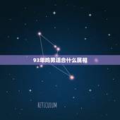 93年鸡男适合什么属相