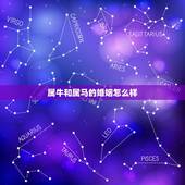 属牛和属马的婚姻怎么样，属马的和属牛的婚姻怎么样