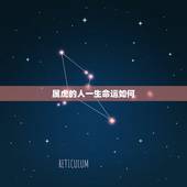 属虎的人一生命运如何，属虎的人11月午时出生好吗