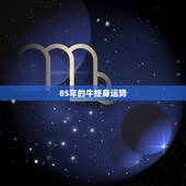 85年的牛终身运势，属牛2022年运势及运程