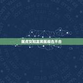 属虎女和龙男属相合不合，虎和龙相克吗