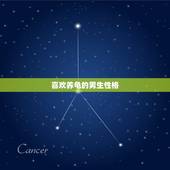 喜欢养龟的男生性格，养乌龟的人什么性格