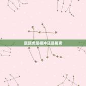 鼠跟虎是相冲还是相克，虎和什么生肖相冲