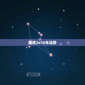 属虎2o16年运势，生肖虎2022 年运势大全