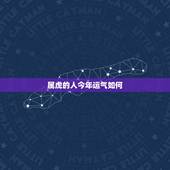 属虎的人今年运气如何，今年属虎的是不是运气不好啊