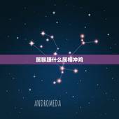 属猴跟什么属相冲鸡，鸡的对冲生肖是什么生肖