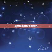 属牛属羊的相克怎么办，属羊男和属牛女谁克谁