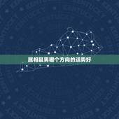 属相鼠男哪个方向的运势好，72年鼠2016年运程72年男鼠命运