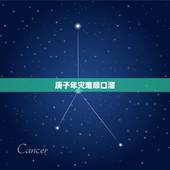 庚子年灾难顺口溜，2022年灾难顺口溜