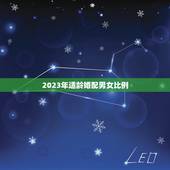 2023年适龄婚配男女比例，90后男女比例是多少？年轻男女比例？