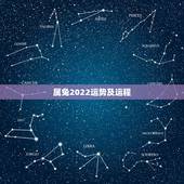 属兔2022运势及运程，71年属猪的亲人离世灾难年龄
