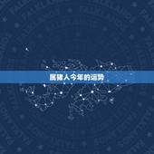 属猪人今年的运势，属猪九月运势？