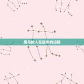 属马的人在鼠年的运程，属马的2022 年犯太岁吗