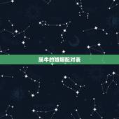 属牛的婚姻配对表，生肖属牛和属马的人结婚会怎样