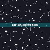 2021年54属什么生肖属相，2021属什么生肖，2021是什么生肖年