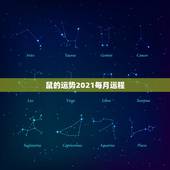 鼠的运势2021每月运程，2021年12生肖每月运势详解