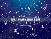 男马女羊生什么属相的宝宝好，属羊的女和属马的男生个什么属相的宝宝好