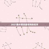 2021属牛男孩最吉利的名字，形容草木旺盛的男孩名字