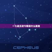 一七退五定今期是什么属相，一七退五定今期是什么生肖