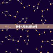 属牛人婚姻运势如何，属牛人和属羊人婚后运势怎么样