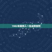 1982年属狗人一生运势如何，属狗的人一生中的命运怎样