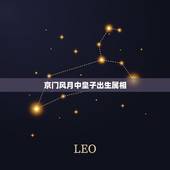 京门风月中皇子出生属相，京门风月手游四皇子秦钰