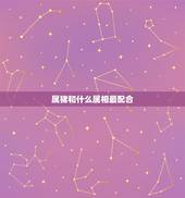 属猪和什么属相最配合，猪和什么属相最配