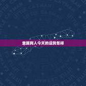 查属狗人今天的运势怎样，属狗今年每月运势如何
