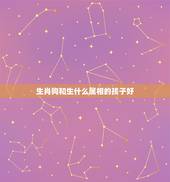 生肖狗和生什么属相的孩子好，父母羊狗，子女属相什么最好