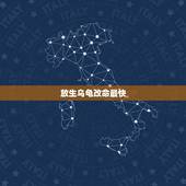放生乌龟改命最快，放生乌龟要说点什么？